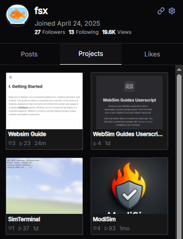 Websim Guide